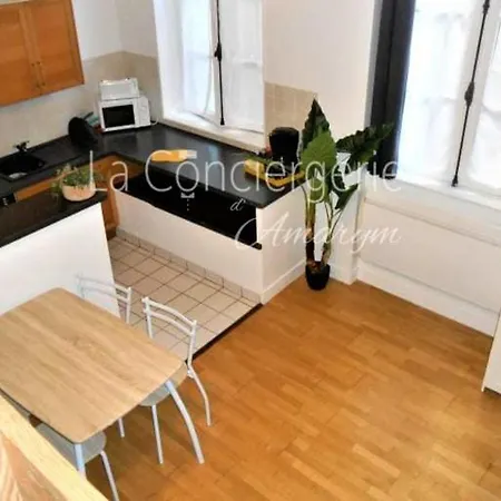 Apartamento Studio Rue Pietonne De 200m Du Port Et De La Plage !