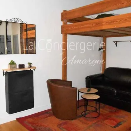 Apartamento Studio Rue Pietonne De 200m Du Port Et De La Plage !